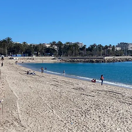 Vue Sur Mer, Proche Croisette *